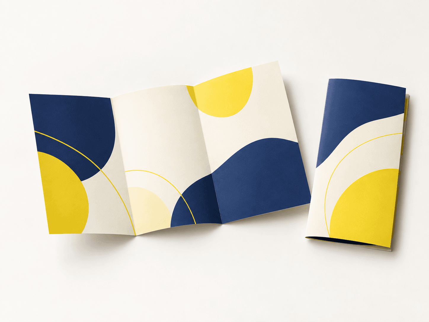 Bi-fold brochure opened to show its four printed panels