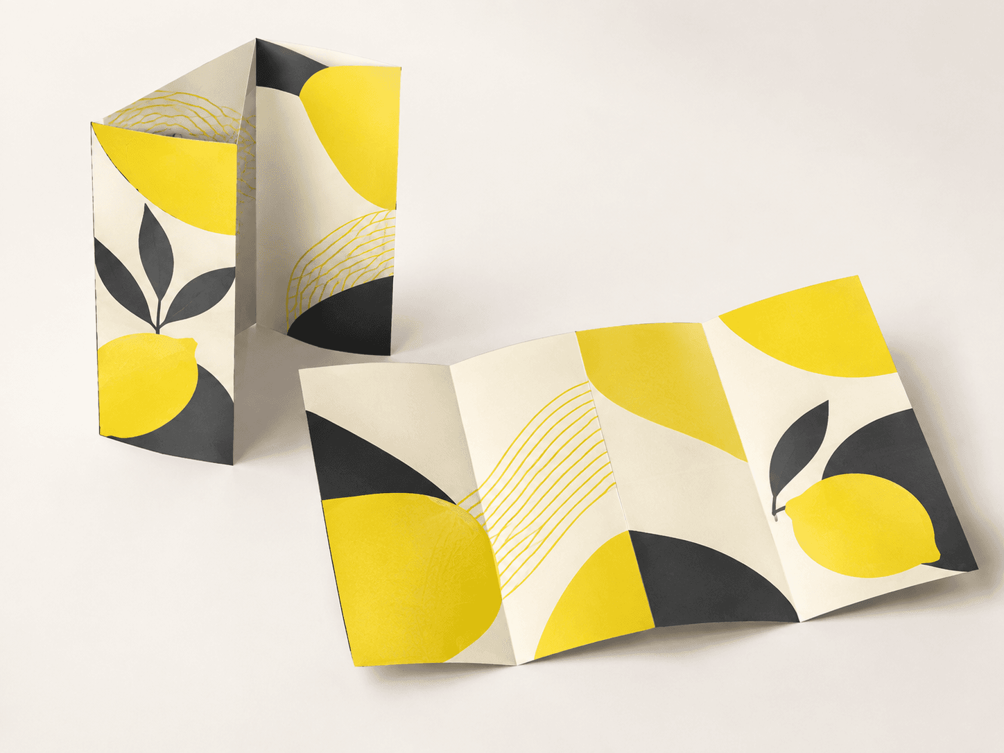 Tri-fold brochure opened to show six printed panels